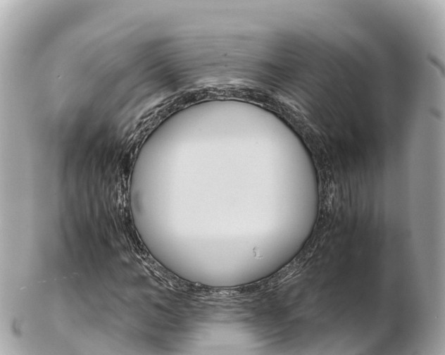 X0000103310966200808291149