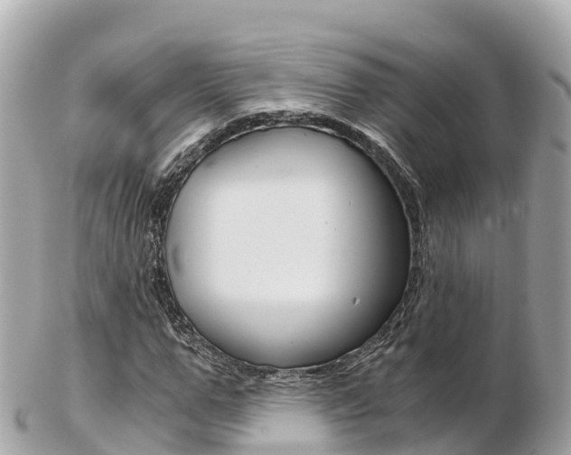 X0000103310967200808291149