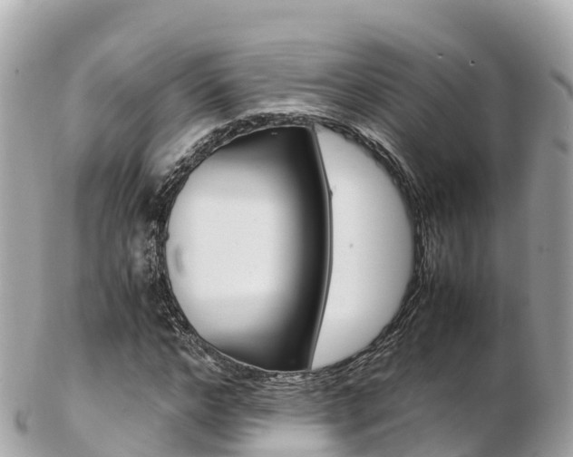 X0000103310968200808291149