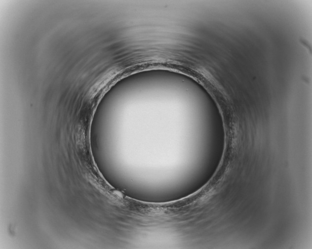 X0000103310969200808291149