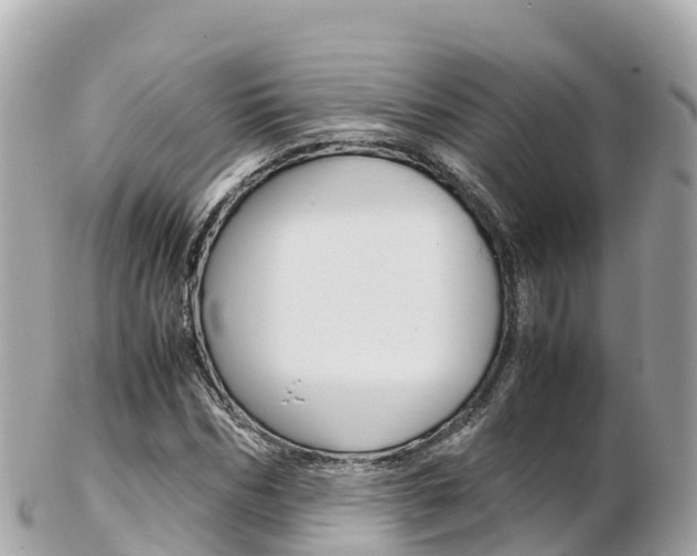 X0000103310970200808291149