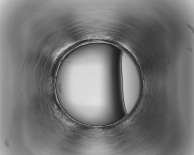 X0000103310971200808291149