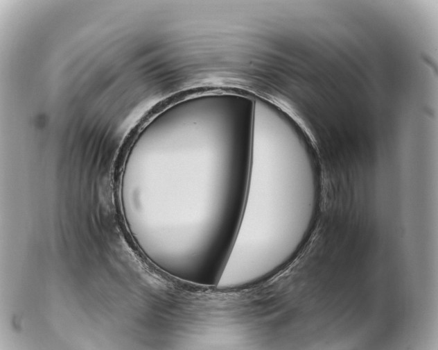X0000103310972200808291149