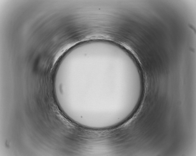 X0000103310973200808291149