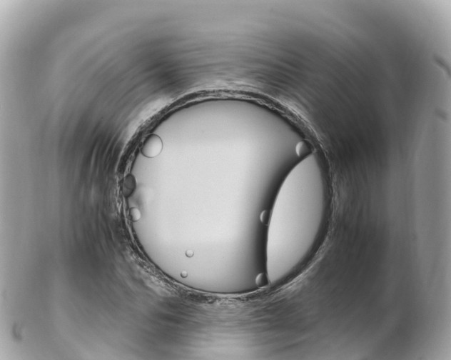 X0000103310974200808291149