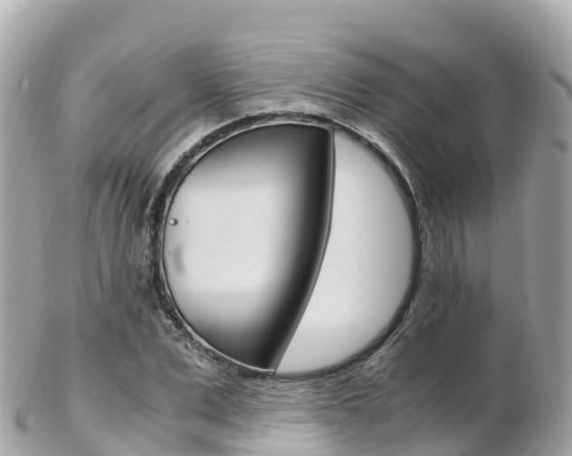 X0000103310975200808291149