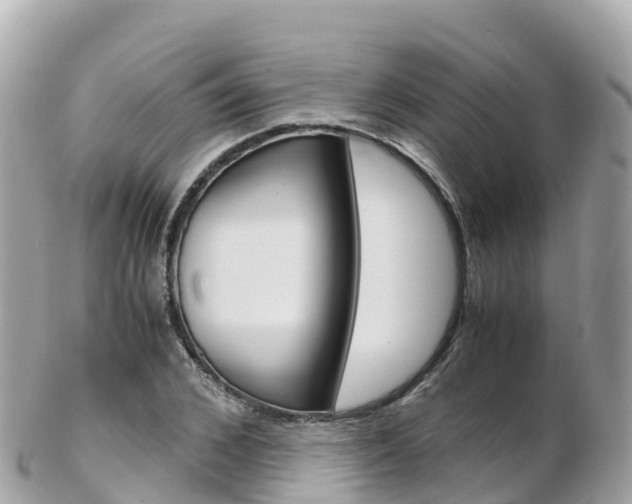 X0000103310976200808291149