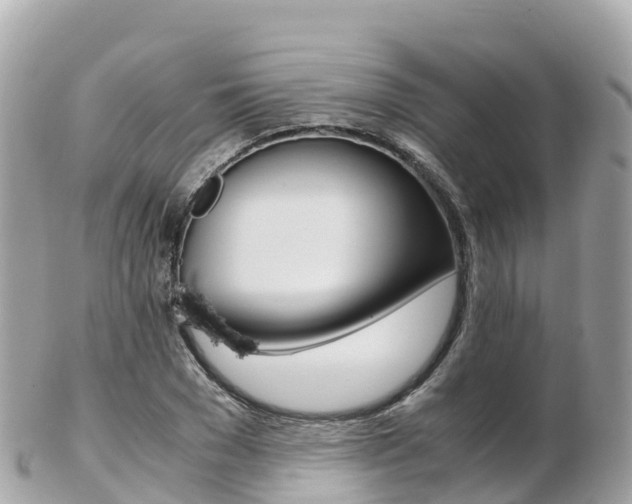 X0000103310977200808291149