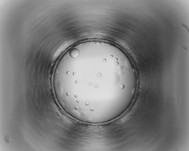 X0000103310978200808291148