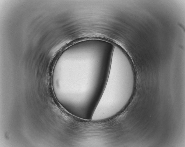 X0000103310979200808291148