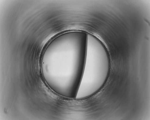 X0000103310980200808291148