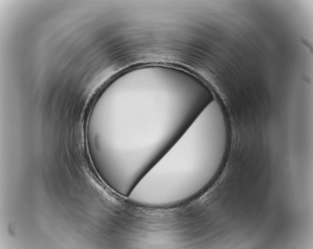 X0000103310982200808291148