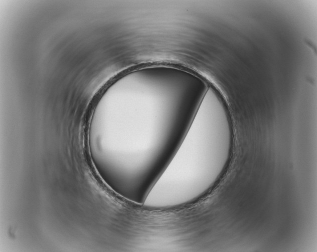 X0000103310983200808291148