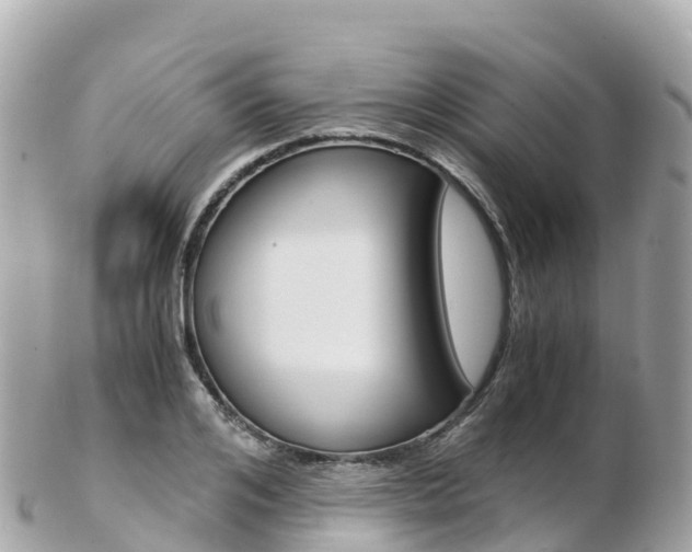 X0000103310984200808291148