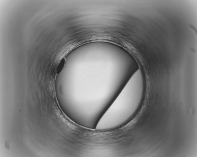 X0000103310985200808291148