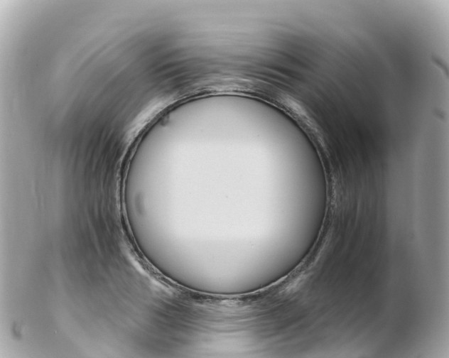 X0000103310986200808291148