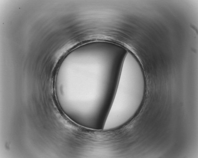 X0000103310987200808291148