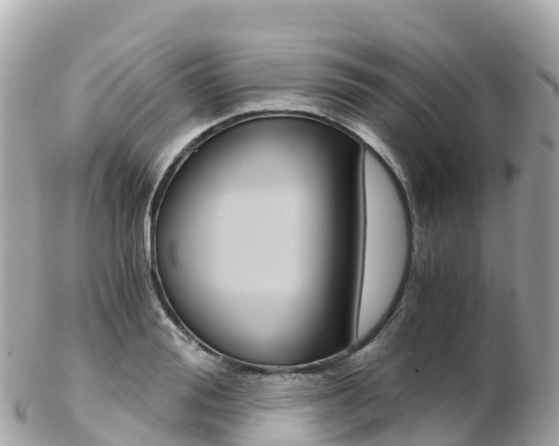 X0000103310988200808291148