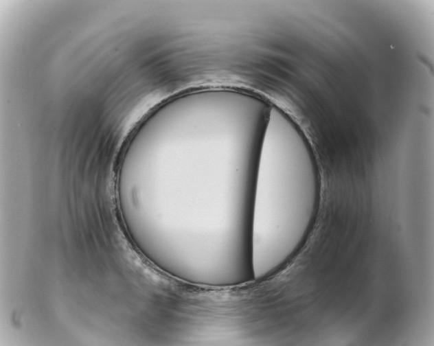 X0000103310990200808291148