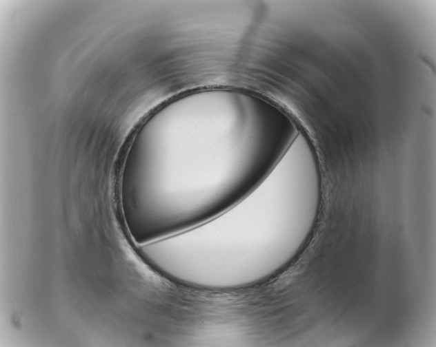 X0000103310991200808291148