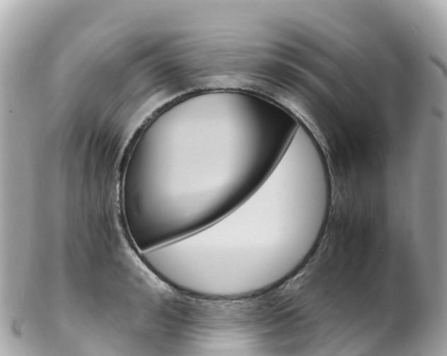 X0000103310992200808291148