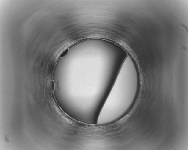 X0000103310993200808291148