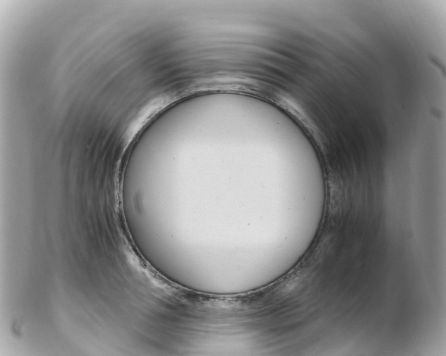 X0000103310994200808291148