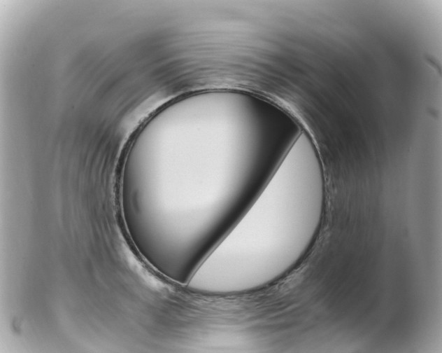 X0000103310995200808291148
