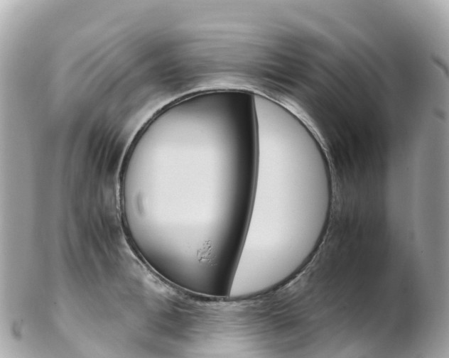 X0000103310996200808291148