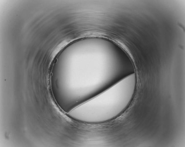 X0000103310997200808291148