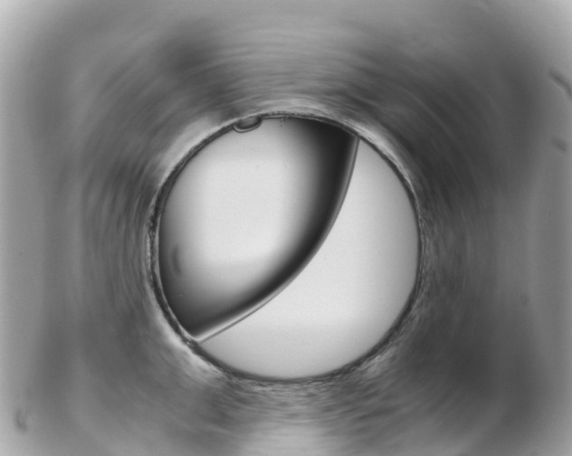 X0000103310999200808291148