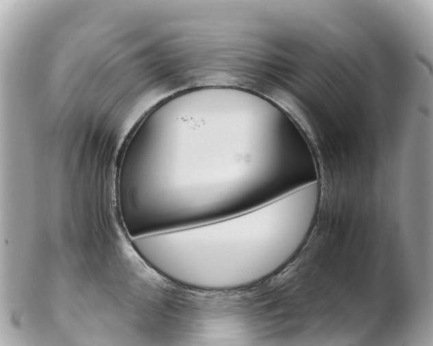 X0000103311000200808291148