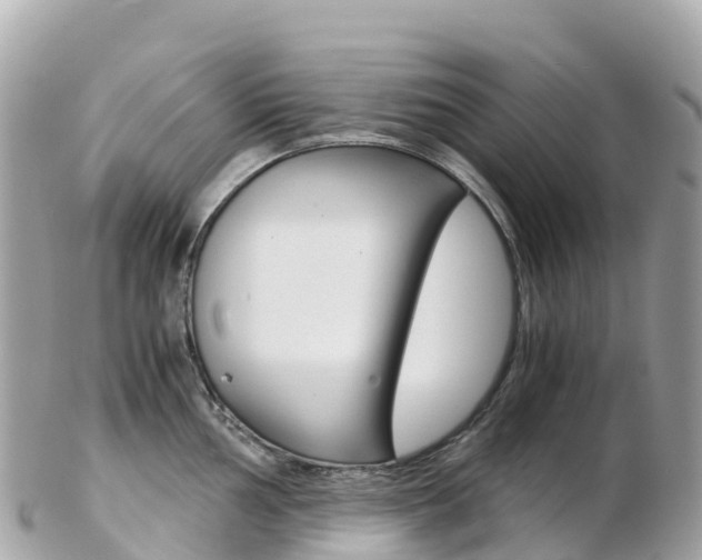 X0000103311002200808291148