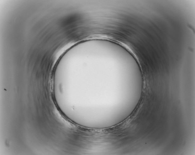 X0000103311003200808291148