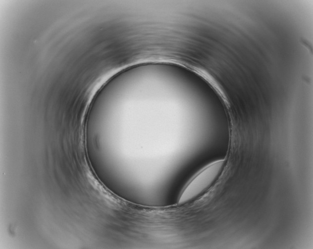 X0000103311004200808291148