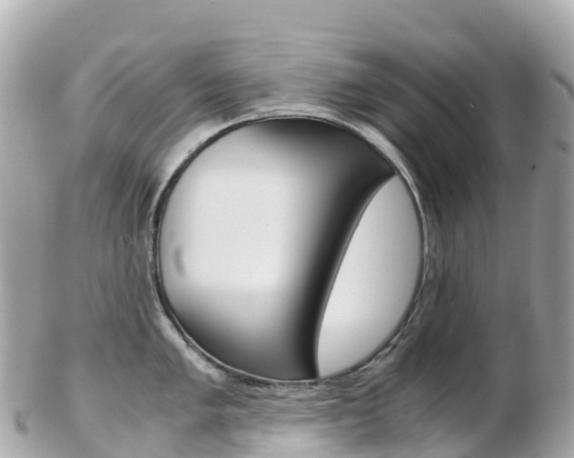 X0000103311005200808291148
