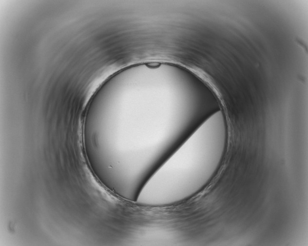 X0000103311006200808291148