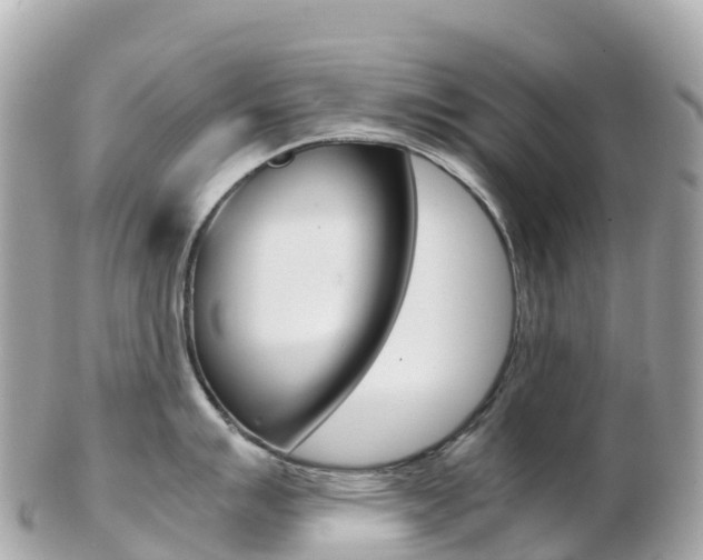X0000103311007200808291148