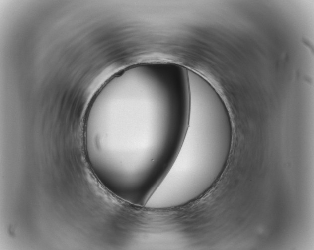 X0000103311008200808291148