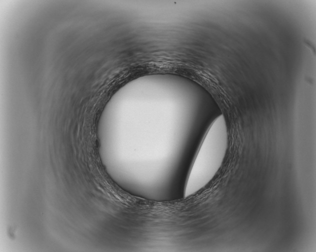 X0000103311009200808291147