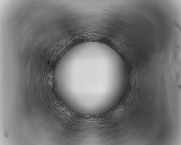 X0000103311010200808291147