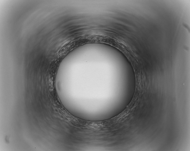 X0000103311013200808291147