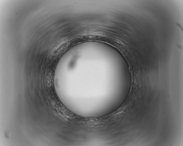 X0000103311014200808291147