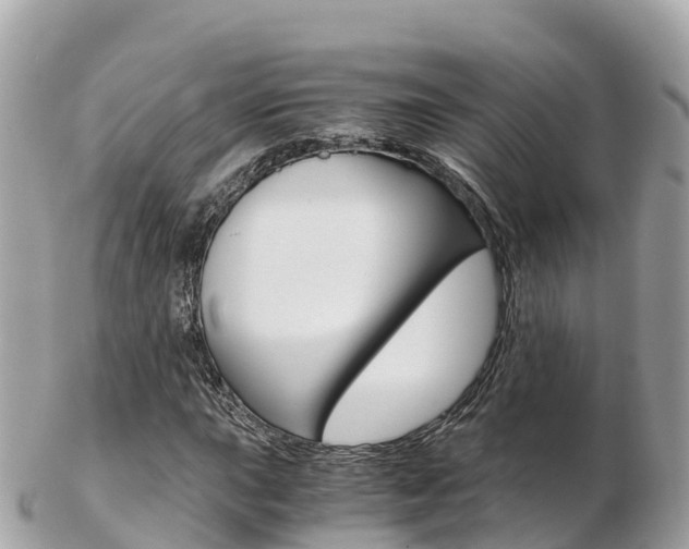 X0000103311015200808291148