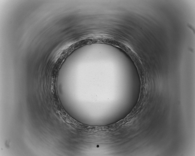 X0000103311016200808291148