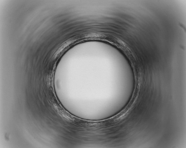 X0000103311017200808291148