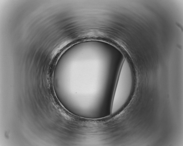 X0000103311018200808291148