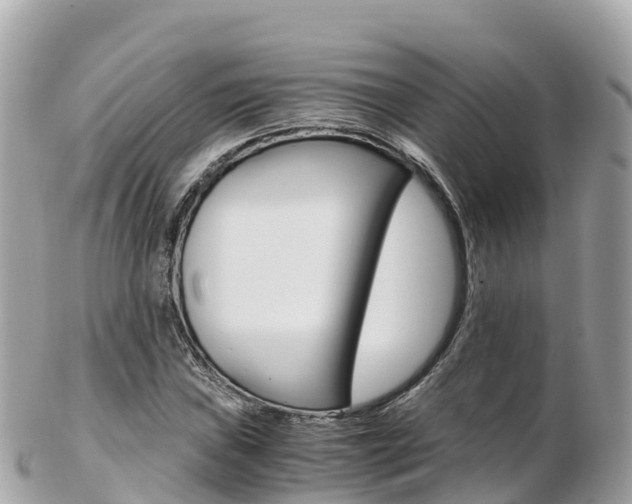 X0000103311019200808291148