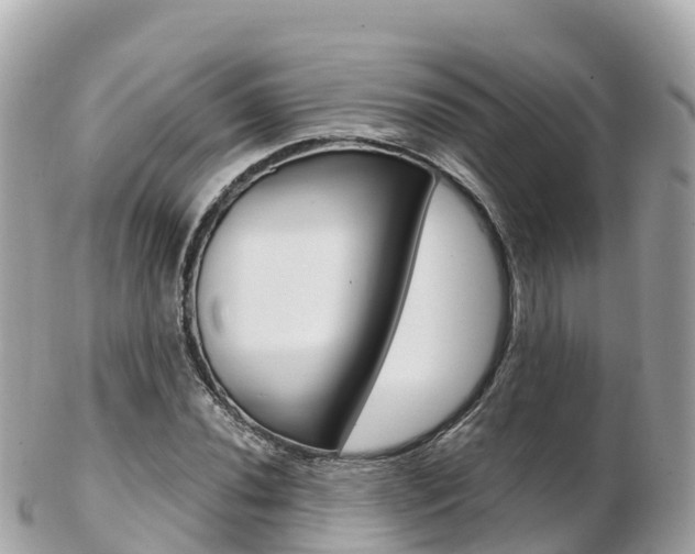 X0000103311020200808291148
