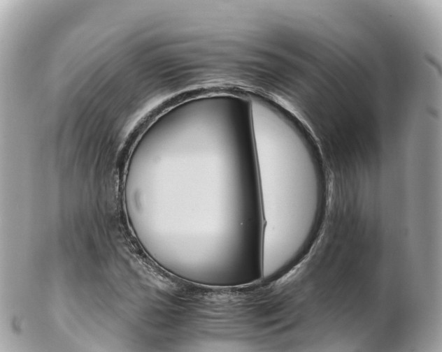 X0000103311021200808291148